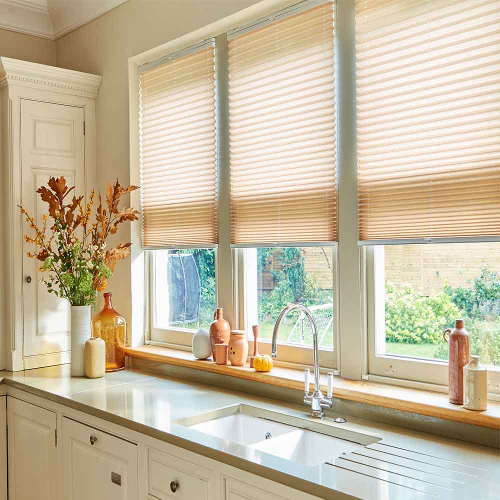 Pleated blinds in Hastings